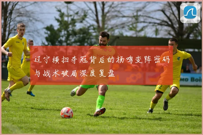 辽宁横扫夺冠背后的杨鸣变阵密码与战术破局深度复盘